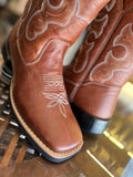 Texana Arara Brasil